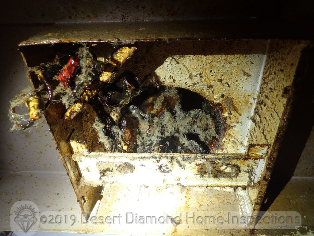 We found this greasy gross mess at a vent hood over a range.