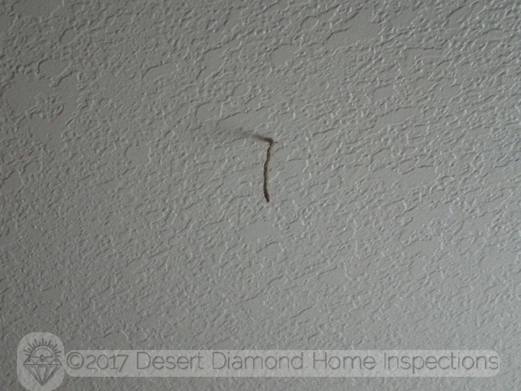 This is a two-inch long termite tube hanging from the ceiling.