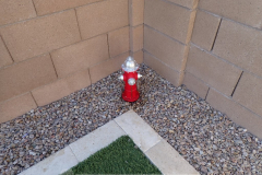 Backyard fire hydrant for your pooch