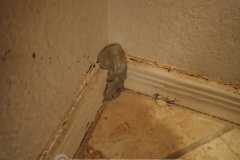 Easy baseboard repair - follow me for more useful home repair tips