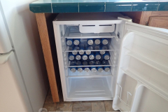 Who needs a dishwasher? Priorities!