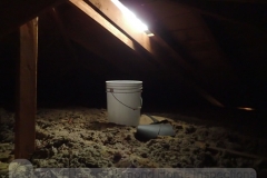 Attic bucket