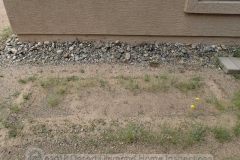 We think we discovered where the body was buried...