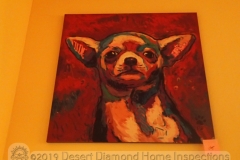 Chihuahua portrait