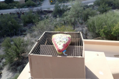 Costco pizza plush dog toy. How and why did it end up on top of the chimney?