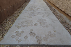 Someone forgot to lock up the dog when pouring this concrete sidewalk