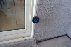 Doggie door bell