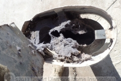 Dryer vent clogged with lint and blocked vent cap = fire hazard
