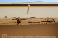 You know you have moisture issues when there are mushrooms growing out of the fascia