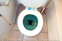 Taking toilet stains to a new level