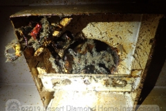 We found this greasy gross mess at a vent hood over a range.