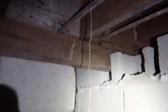 Now that's a termite tube!