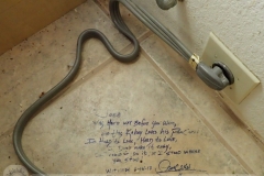 Dedication found under a kitchen range from Jose to his Pamcakes