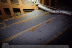 Disconnected attic dryer vent