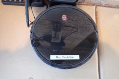 Perfect robot vacuum nickname