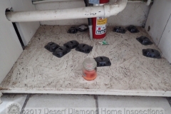 Think there might be a pest problem here?