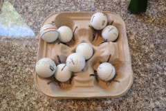 Golf ball harvest on roof