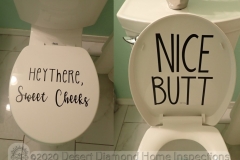 Is that toilet flirting with me?
