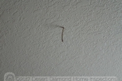 This is a two-inch long termite tube hanging from the ceiling.