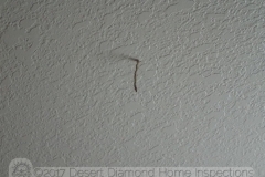 This is a two-inch long termite tube hanging from the ceiling.