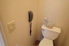 Potty phone