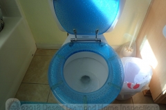How's this for a custom toilet seat?
