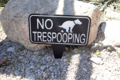 Funny sign cracked me up - not sure dogs can read it though...