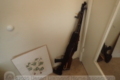 Firearms