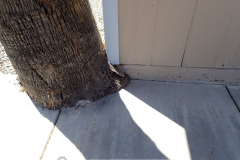 Don't let nature get in the way