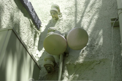 Apparently light bulbs have to match the house. Therefore they must be painted.
