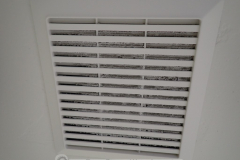 Painted right over the bathroom ceiling fan, including the dirt inside it.