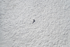 It's quicker to paint over this screw on a roof than to stop and pick it up. Ain't nobody got time for that!