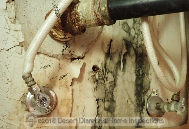 Mold under sink