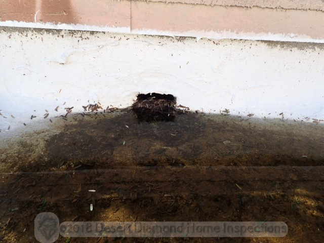 Blocked scupper on flat roof