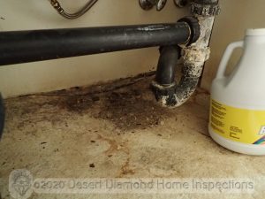 Leak at sink drain, moisture damaged cabinet