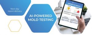 AI-powered mold testing